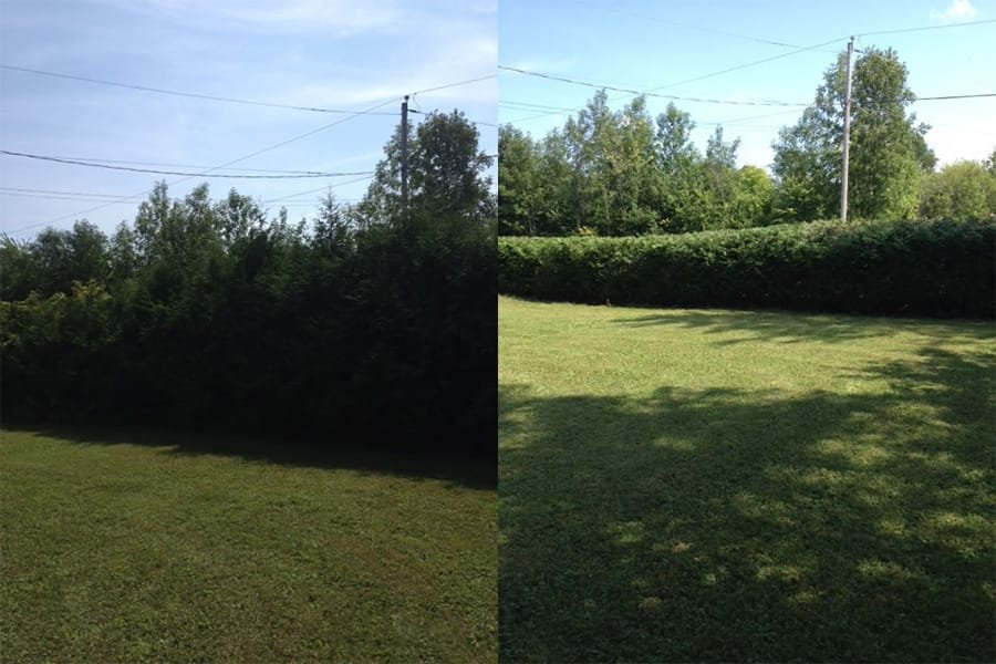 Long Hedge Trimmed sides and top - Cornwall handyman and painting services Long Hedge Trimmed sides and top - Cornwall handyman and painting services.jpg